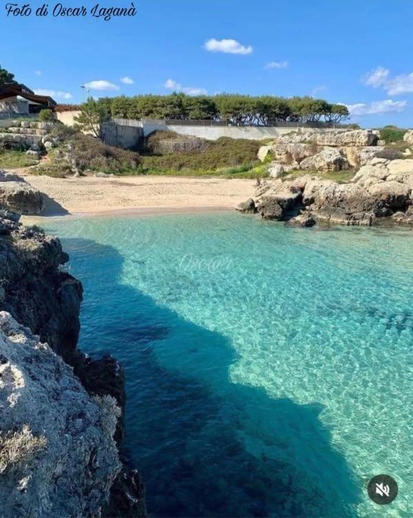 Belvedere Da Madia Monopoli Bagian luar foto